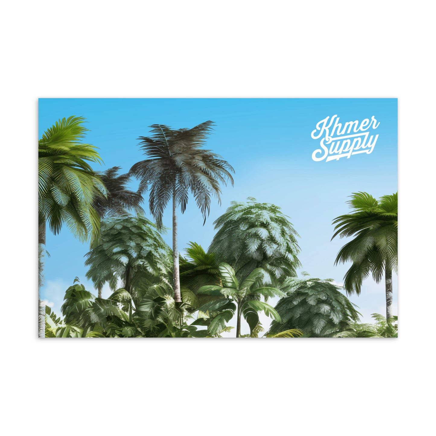 Palms Postcard